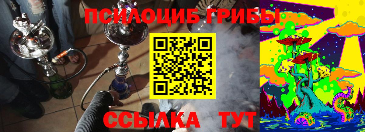 Псилоцибиновые грибы мухоморы Чита
