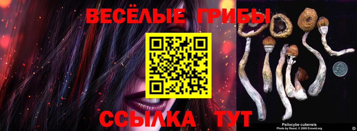 Чита  Псилоцибиновые грибы мухоморы  Псилоцибиновые грибы ЛСД  Вход с VPN 